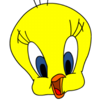 Canari