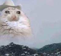 SadHowdy