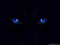 SongWolf19