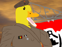 Rexzao