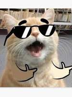 Jake666