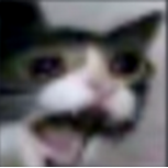 SK3L1T0N