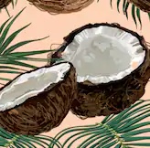 Doristita