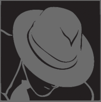 Mr. Incognito