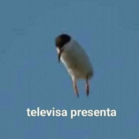 Albano._Delgado