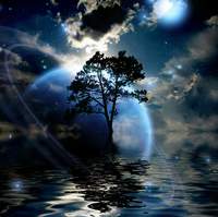 NyxofNight8990