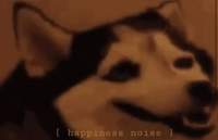 GhostyDingo