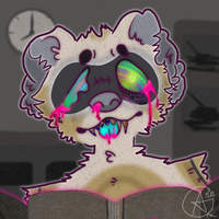 ferretking