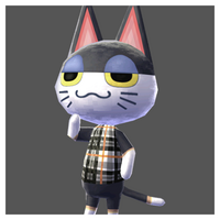 TWG Punchy