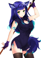AlleyCat6697