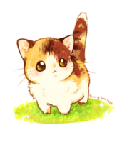 catukiss