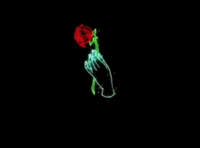 D_Omega