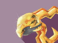 CatFetus