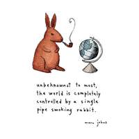 Wyze_Rabbit