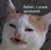 Alfredosauce42