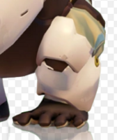 shwinstonsfeet