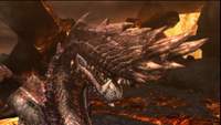 AccDrainWyvern