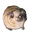 Ya_Ne_Umeyu_Tancevat