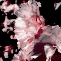Firestorm777