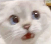 Akosu