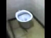 el inodoro que habla