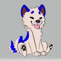 Sky_owo