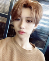 FelixCatBoy