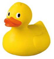 Tadzboi
