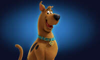 Scooby14
