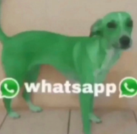 neppii