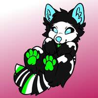 FenderFox
