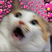 Ezbunny123