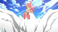 chicken97450