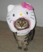 tkmilky