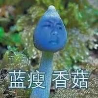 mj-__-