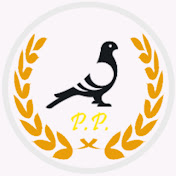 PigeonPower_Official