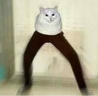 MikoChanLOL