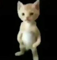 hakoselo