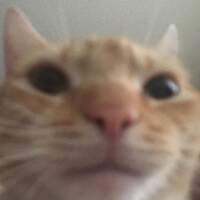 altred