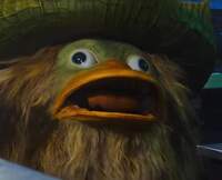 ludicolo