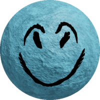 CYBERSUSH11