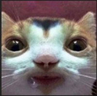 Ahoyman