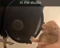 brogle