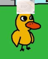 Ducksoap2