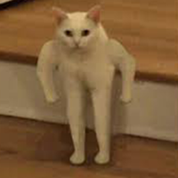 Tuptusiek