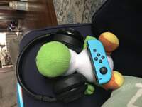 Genjink