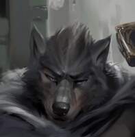 Raccoons