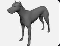 MARCoWERP