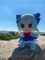 blu_stonck