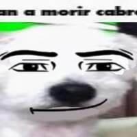 Marxxes